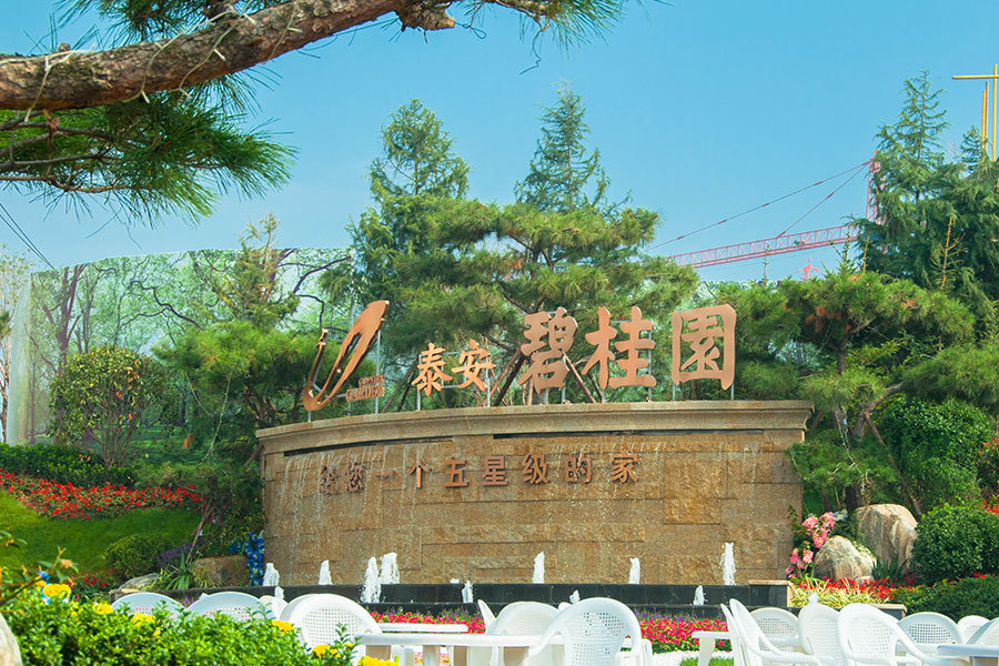 泰安碧桂园.jpg