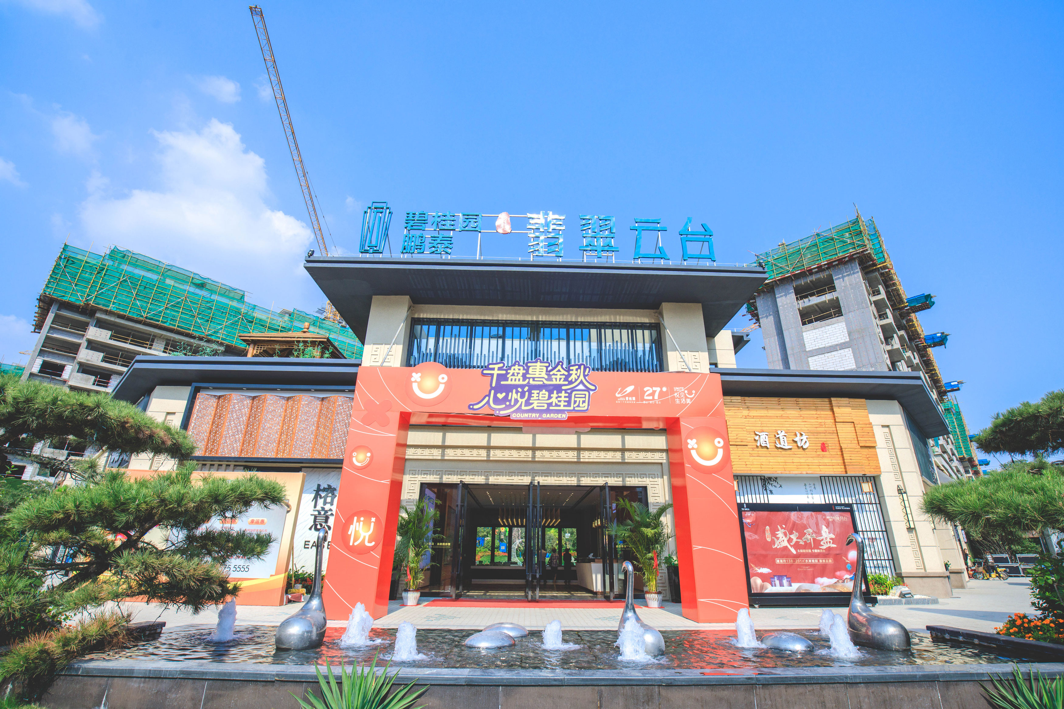 枣庄台儿庄碧桂园.jpg