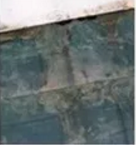 640(7).png